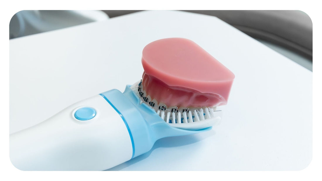 A close-up demonstration of a pink dental model with braces fitted into the white bristles of a Willo automated oral care device with a U-shaped mouthpiece.