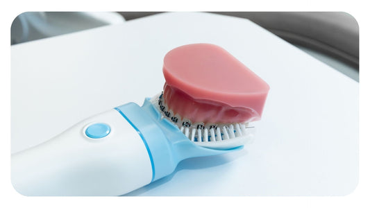 A close-up demonstration of a pink dental model with braces fitted into the white bristles of a Willo automated oral care device with a U-shaped mouthpiece.