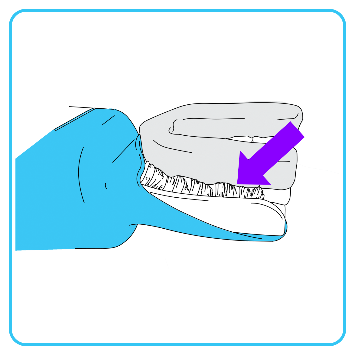 Close up showing how to insert Willo into mouth with brush along gumline