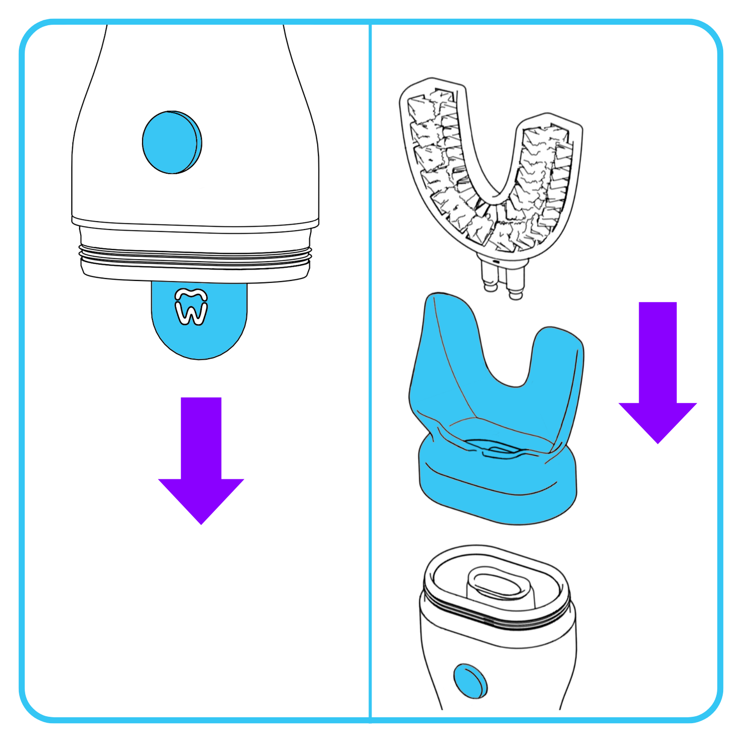 how to remove the cleaning plug from handle and reinstall the brush head