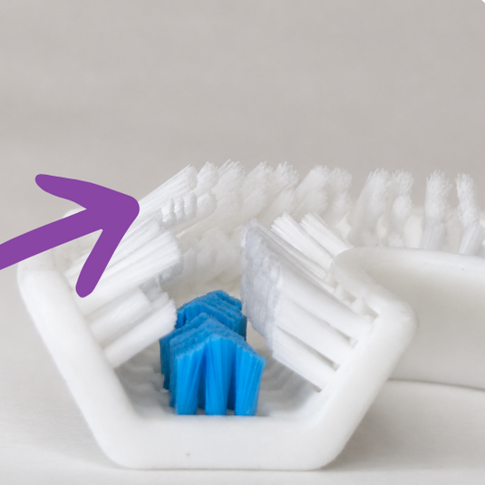 purple arrow pointing to extra row of bristles on ortho brush head