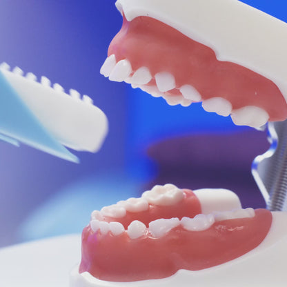 Willo® AutoFlo+ Fully Automatic Kids Toothbrush Starter Kit