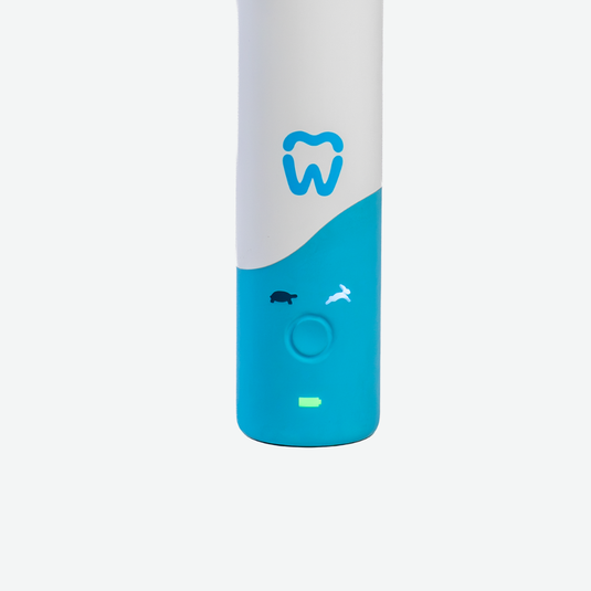 Close-up of Willo toothbrush handle showing mode selection icons, power button, and battery indicator.